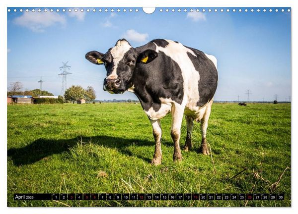 Produktbild: Sch&ouml;nes Ostfriesland (Wandkalender 2026 DIN A3 quer), CALVENDO Monatskalender