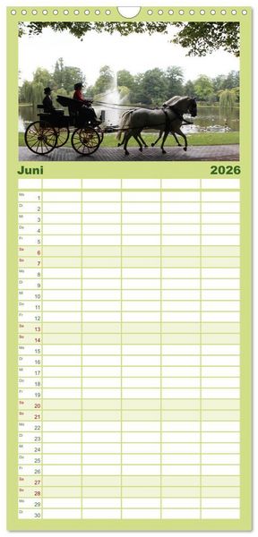 Produktbild: Familienplaner 2026 - CIAT - Historischer Fahrsport in Celle mit 5 Spalten (Wandkalender, 21 x 45 cm) CALVENDO