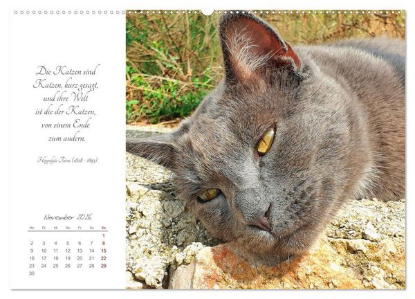 Produktbild: Catlovers - Ein Jahr voller Samtpfoten und charmanten Weisheiten (Wandkalender 2026 DIN A2 quer), CALVENDO Monatskalender