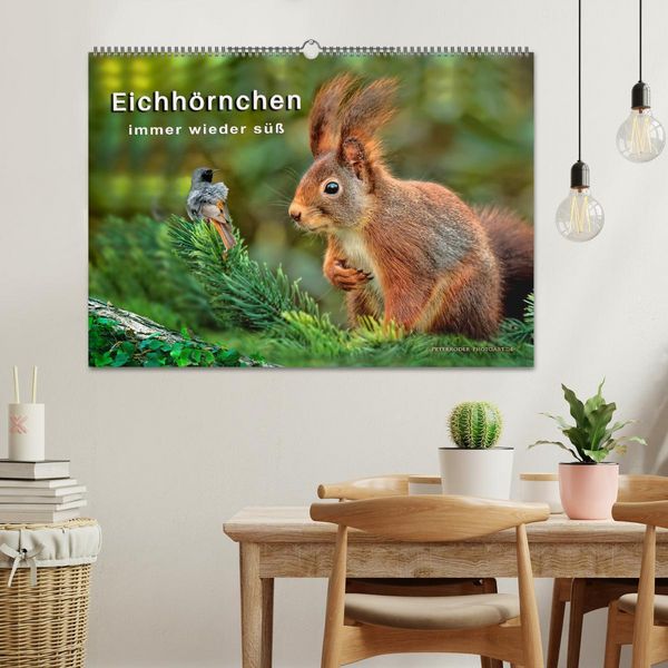 Produktbild: Eichh&ouml;rnchen - immer wieder s&uuml;&szlig; (Wandkalender 2026 DIN A2 quer), CALVENDO Monatskalender