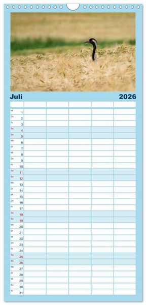 Produktbild: Familienplaner 2026 - Unsere Vogelvielfalt: Ein Schatz zum Entdecken und Sch&uuml;tzen mit 5 Spalten (Wandkalender, 21 x 45 cm) CALVENDO