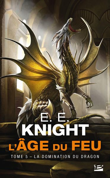 Produktbild: L'&Acirc;ge du feu, T5 : La Domination du dragon
