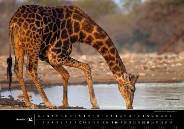 Produktbild: Namibia Premiumkalender 2027