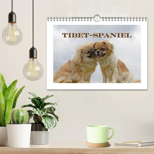 Produktbild: Tibet-Spaniel (Wandkalender 2026 DIN A4 quer), CALVENDO Monatskalender