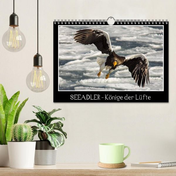 Produktbild: Seeadler - K&ouml;nige der L&uuml;fte (Wandkalender 2026 DIN A4 quer), CALVENDO Monatskalender