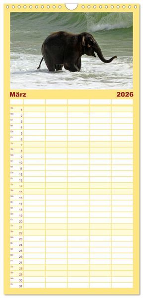 Produktbild: Familienplaner 2026 - Elefanten. Badespa&szlig; am Strand mit 5 Spalten (Wandkalender, 21 x 45 cm) CALVENDO