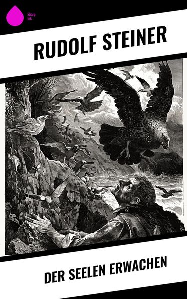Produktbild: Der Seelen Erwachen