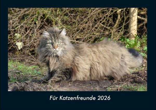 Produktbild: F&uuml;r Katzenfreunde 2026 Fotokalender DIN A4