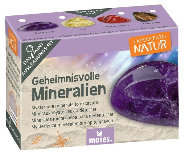 Produktbild: Expedition Natur Mini-Ausgrabungssets