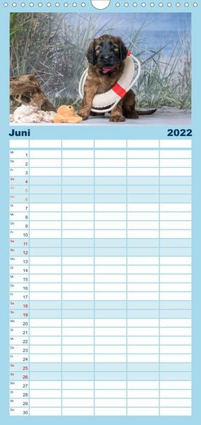 Produktbild: Briardbabys in ihren ersten Wochen - Familienplaner hoch (Wandkalender 2022 , 21 cm x 45 cm, hoch)