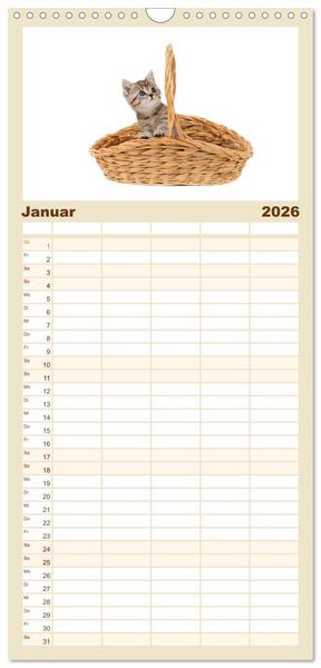 Produktbild: Familienplaner 2026 - Katzenbabys mit 5 Spalten (Wandkalender, 21 x 45 cm) CALVENDO