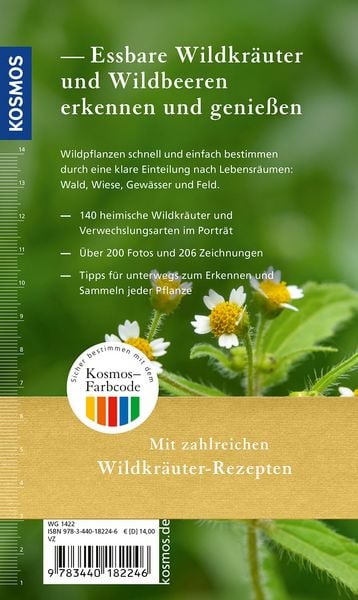 Produktbild: Essbare Wildkr&auml;uter und Wildbeeren f&uuml;r unterwegs