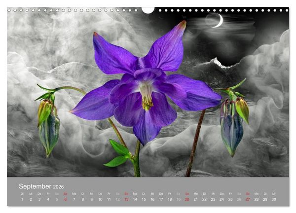 Produktbild: Floral (Wandkalender 2026 DIN A3 quer), CALVENDO Monatskalender