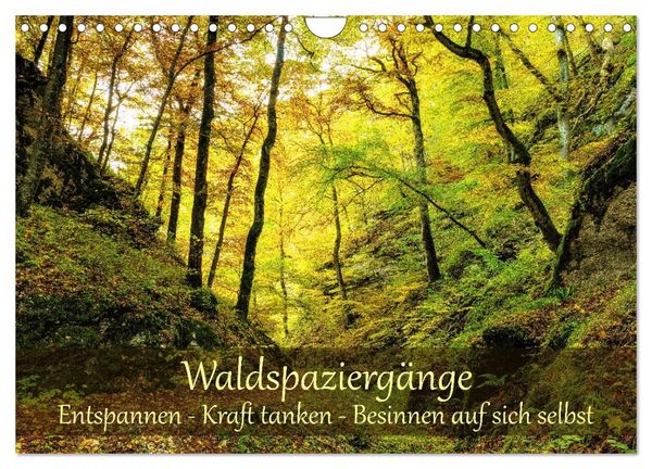 Produktbild: Waldspazierg&auml;nge: Entspannen - Kraft tanken - Besinnen auf sich selbst (Wandkalender 2027 DIN A4 quer), CALVENDO Monatskalender