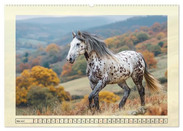 Produktbild: Knabstrupper Poesie. Gescheckte Eleganz im Farmsommer (Wandkalender 2027 DIN A2 quer), CALVENDO Monatskalender