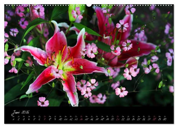 Produktbild: Florales Sonett - Visuelle Musik der Blumen (Wandkalender 2026 DIN A2 quer), CALVENDO Monatskalender