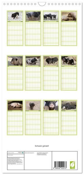 Produktbild: Familienplaner 2026 - Schwein gehabt! mit 5 Spalten (Wandkalender, 21 x 45 cm) CALVENDO