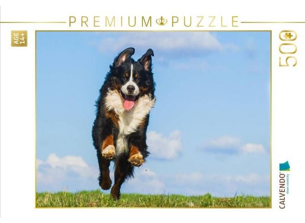 CALVENDO Puzzle Berner Sennenhund Merlin | 500 Teile Lege-Größe 48 × 36 cm Foto-Puzzle für Erwachsene
