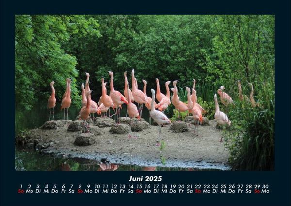 Produktbild: B&auml;ume 2025 Fotokalender DIN A4