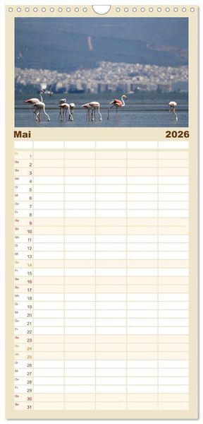 Produktbild: Familienplaner 2026 - Griechenland - Von Epirus bis zu den Inseln mit 5 Spalten (Wandkalender, 21 x 45 cm) CALVENDO