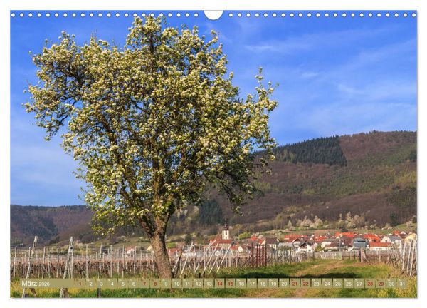 Produktbild: Augenschmaus Pf&auml;lzer Wald (Wandkalender 2026 DIN A3 quer), CALVENDO Monatskalender