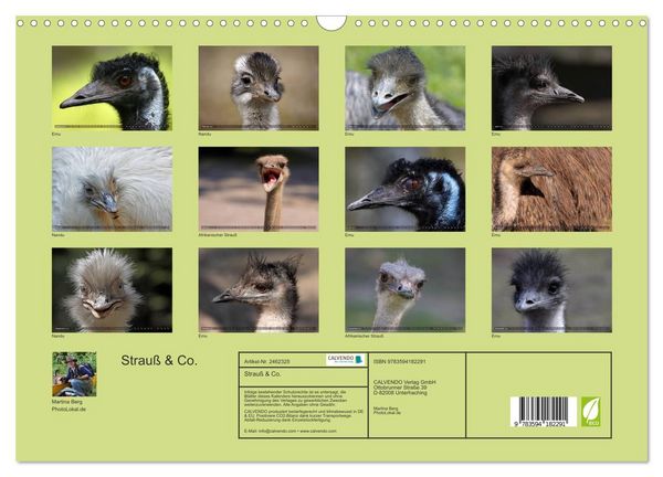 Produktbild: Strau&szlig; & Co. (Wandkalender 2027 DIN A3 quer), CALVENDO Monatskalender