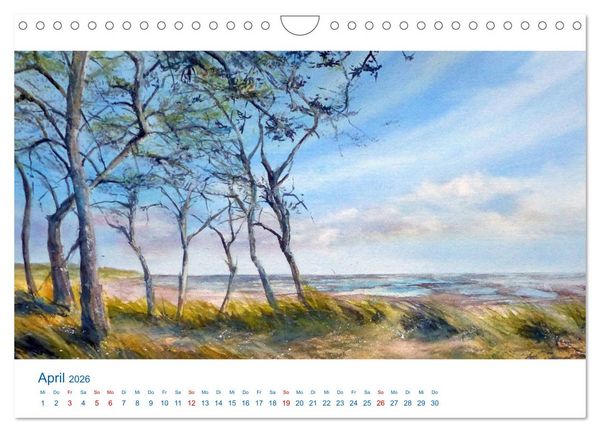 Produktbild: F&ouml;hr - Aquarelle (Wandkalender 2026 DIN A4 quer), CALVENDO Monatskalender