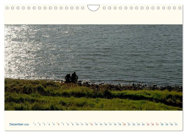 Produktbild: Am Rhein - Urdenbacher K&auml;mpe (Wandkalender 2026 DIN A4 quer), CALVENDO Monatskalender