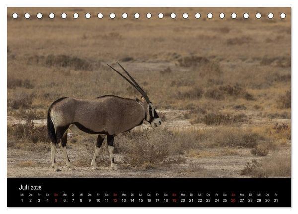 Produktbild: Wundersch&ouml;nes Namibia (Tischkalender 2026 DIN A5 quer), CALVENDO Monatskalender
