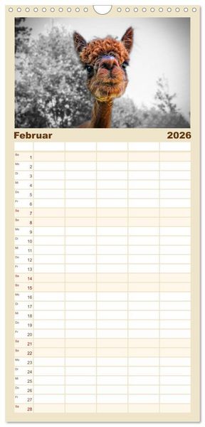 Produktbild: Familienplaner 2026 - Alpaka Gesichter mit 5 Spalten (Wandkalender, 21 x 45 cm) CALVENDO