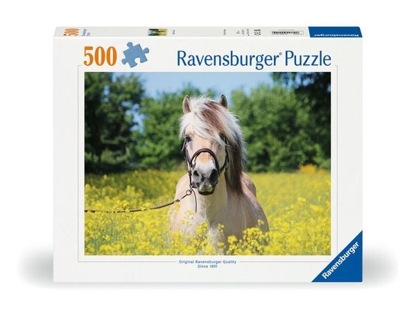Produktbild: Erwachsenenpuzzle 500 Teile - Pferd im Rapsfeld
