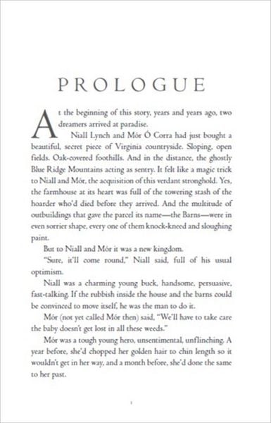 Produktbild: The Dreamer Trilogy 3.Greywaren
