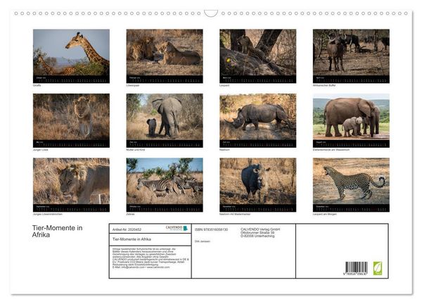 Produktbild: Tier-Momente in Afrika (Wandkalender 2026 DIN A2 quer), CALVENDO Monatskalender