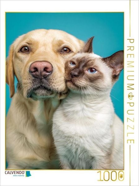 CALVENDO Puzzle Labrador Retriever und Siamkatze - Hund und Katze kuscheln | 1000 Teile Lege-Größe 64x48cm Foto-Puzzle für glückliche Stunden
