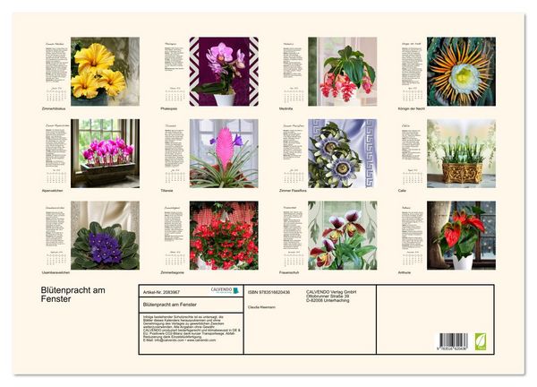 Produktbild: Bl&uuml;tenpracht am Fenster (Wandkalender 2026 DIN A2 quer), CALVENDO Monatskalender