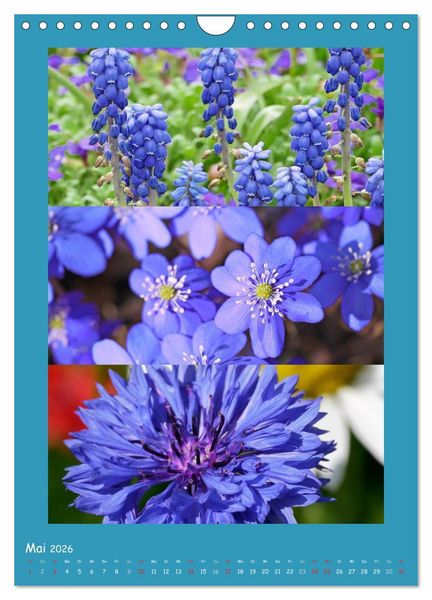 Produktbild: Natur im Farbenrausch (Wandkalender 2026 DIN A4 hoch), CALVENDO Monatskalender