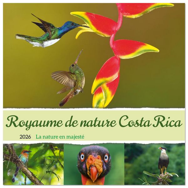 Produktbild: Royaume de nature Costa Rica (Calendrier mural carr&eacute; 2026 30x30 cm) Calendrier double avec une page pour vos prises de notes