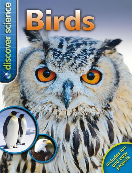 Produktbild: Davies, N: Discover Science: Birds