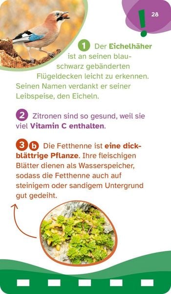 Produktbild: Was ist was Quiz Natur