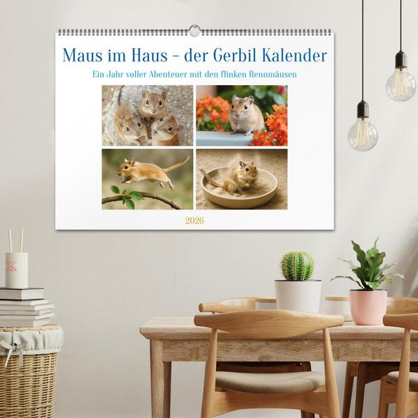 Produktbild: Maus im Haus - der Gerbil Kalender (Wandkalender 2026 DIN A2 quer), CALVENDO Monatskalender