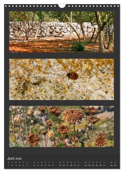 Produktbild: Naturfarben entdecken (Wandkalender 2026 DIN A3 hoch), CALVENDO Monatskalender
