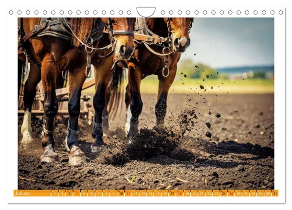 Produktbild: Arbeitspferde in Action (Wandkalender 2027 DIN A4 quer), CALVENDO Monatskalender
