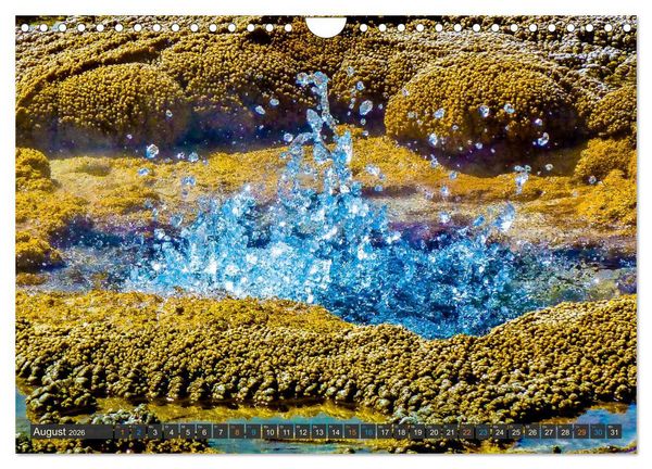 Produktbild: Farbenwunder Yellowstone (Wandkalender 2026 DIN A4 quer), CALVENDO Monatskalender