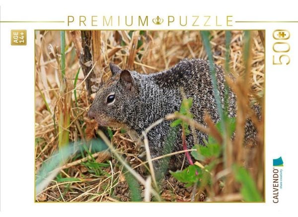 CALVENDO Puzzle Kalifornischer Ziesel am Battery Point Leuchtturm (USA) | 500 Teile Lege-Größe 48 × 36 cm Foto-Puzzle für Erwachsene