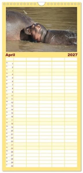 Produktbild: Familienplaner 2027 - Wildes Kinderzimmer - Tierkinder in Afrika mit 5 Spalten (Wandkalender, 21 x 45 cm) CALVENDO