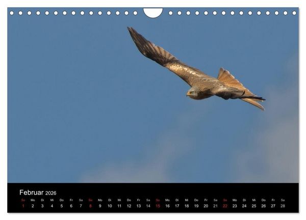 Produktbild: Wilde Heimat (Wandkalender 2026 DIN A4 quer), CALVENDO Monatskalender