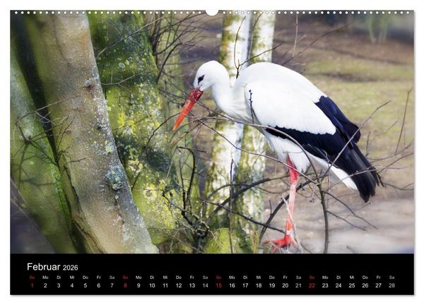 Produktbild: Welt der Tiere (Wandkalender 2026 DIN A2 quer), CALVENDO Monatskalender
