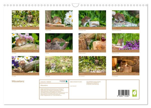 Produktbild: M&auml;usetanz (Wandkalender 2026 DIN A3 quer), CALVENDO Monatskalender