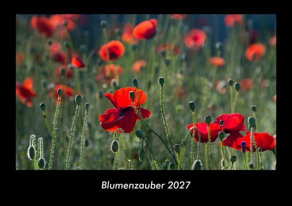 Produktbild: Blumenzauber 2027 Fotokalender DIN A3