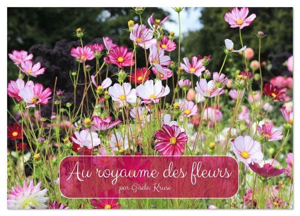 Produktbild: Au royaume des fleurs (Calendrier mural 2026 DIN A2 vertical), CALVENDO calendrier mensuel